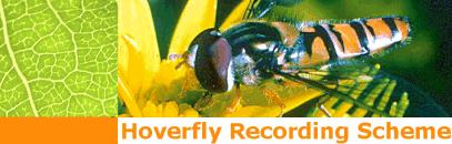 logo_hrs