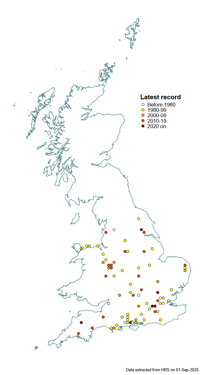 Distribution map for Ferdinandea ruficornis