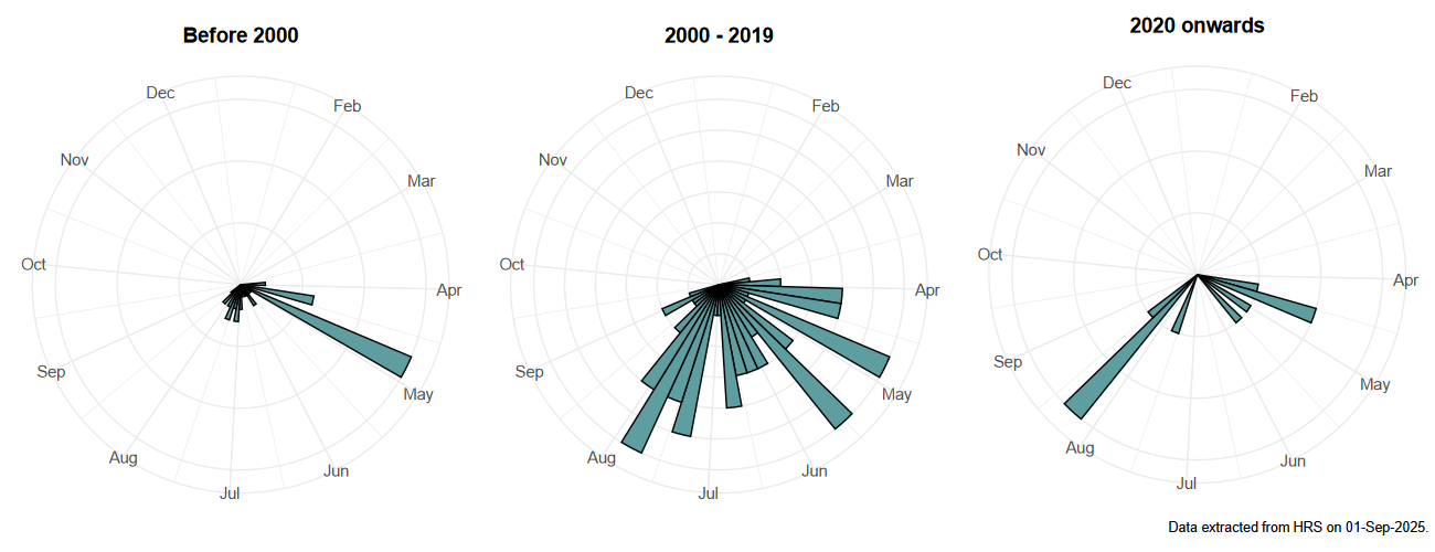 Phenology plots for Ferdinandea ruficornis